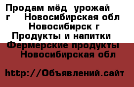 Продам мёд, урожай 2017г. - Новосибирская обл., Новосибирск г. Продукты и напитки » Фермерские продукты   . Новосибирская обл.